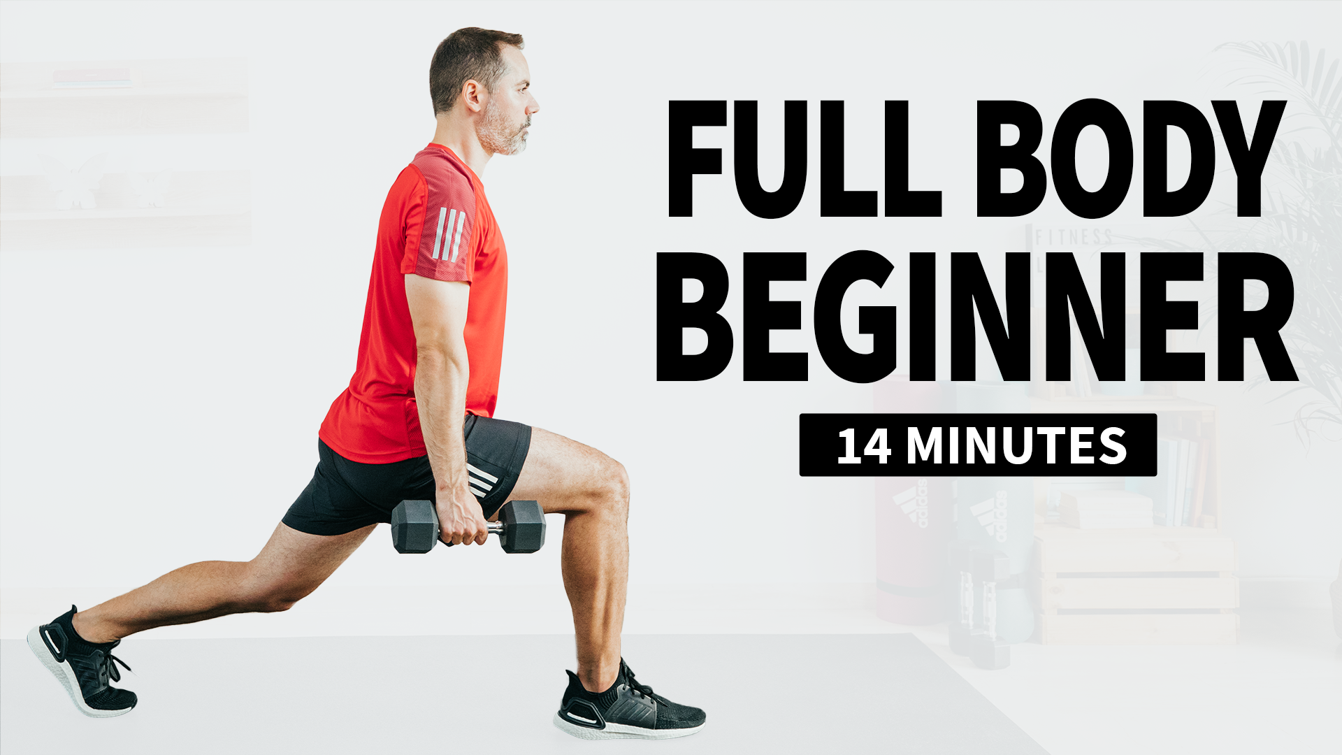 Full Body Beginner Workout